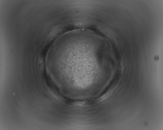 X0000094450086200711211528