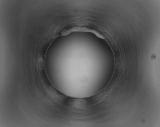 X0000094450087200711211528