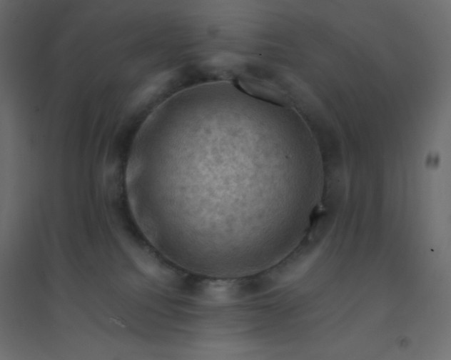 X0000094450088200711211528