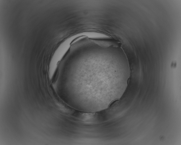 X0000094450089200711211528