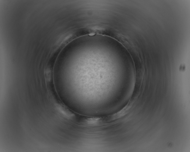 X0000094450090200711211528