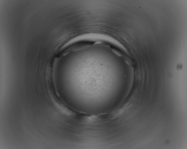 X0000094450092200711211528