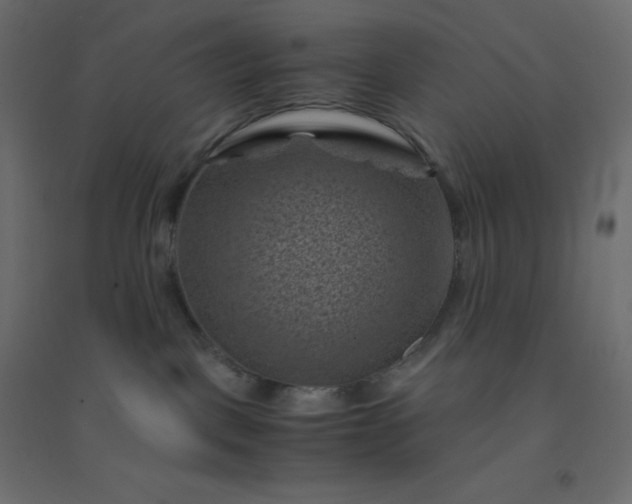 X0000094450093200711211528