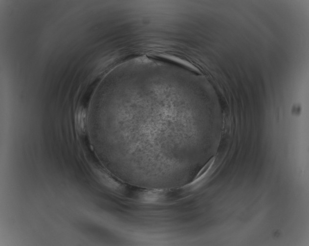 X0000094450094200711211528