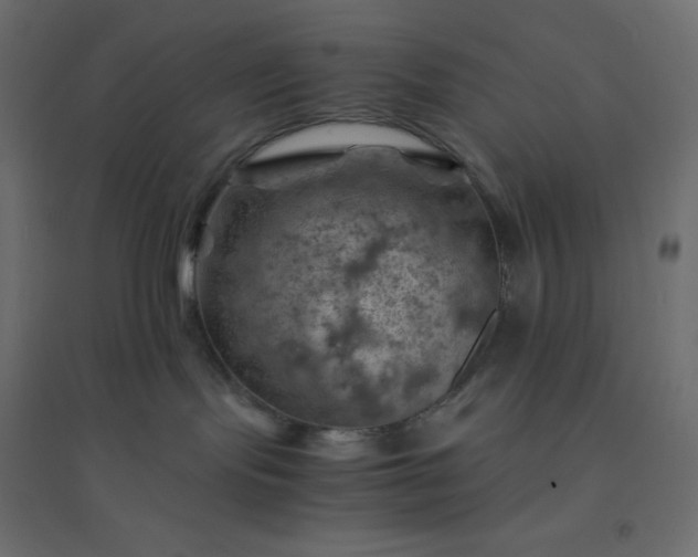 X0000094450095200711211528