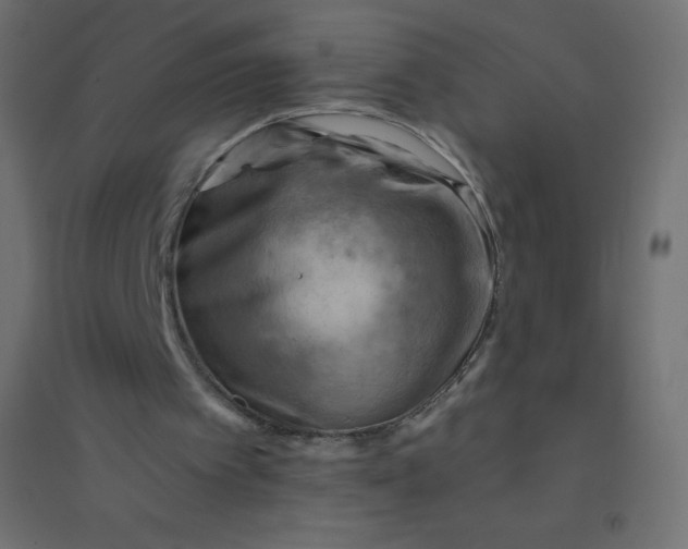 X0000094450097200711211527