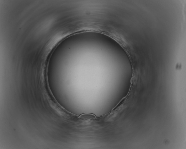 X0000094450098200711211527