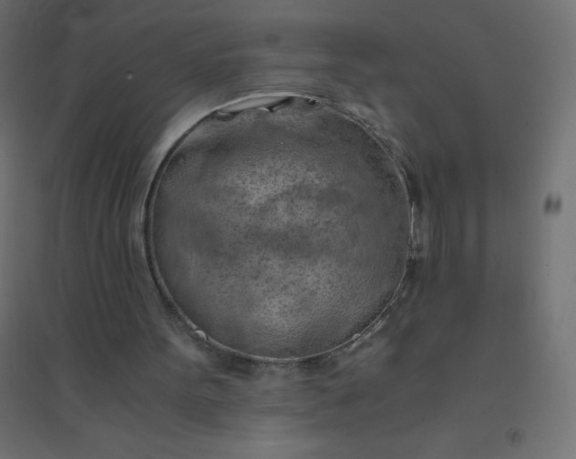 X0000094450099200711211527