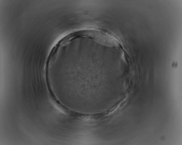 X0000094450100200711211527