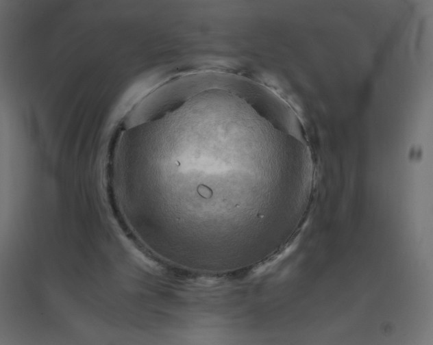 X0000094450101200711211527