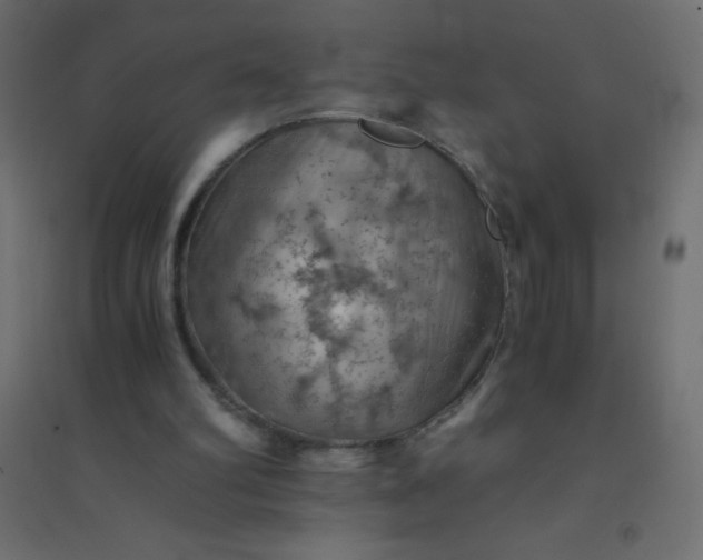 X0000094450102200711211527