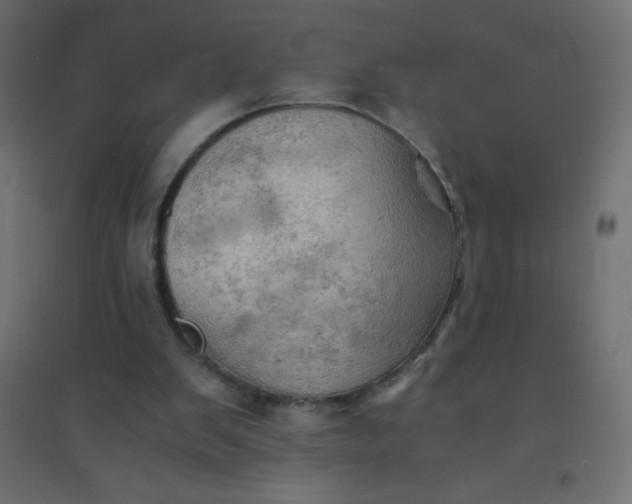 X0000094450103200711211527