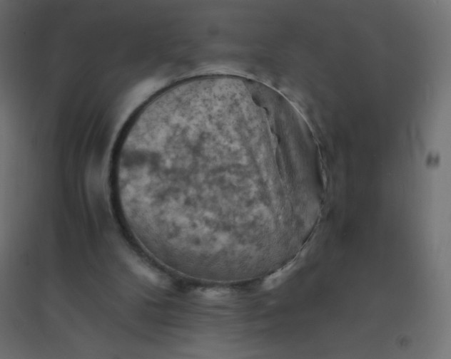 X0000094450104200711211527