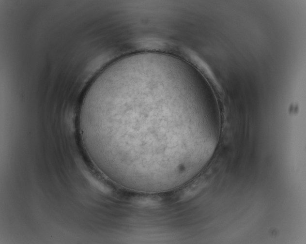 X0000094450106200711211527