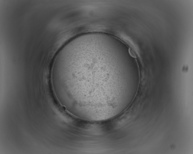 X0000094450107200711211527