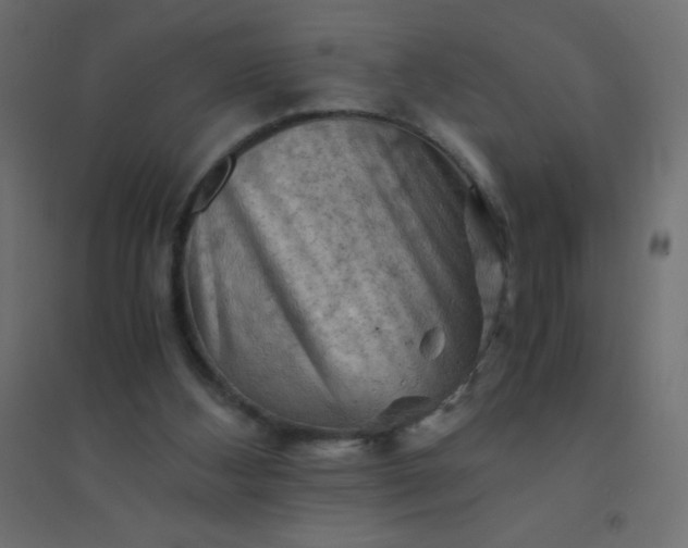 X0000094450108200711211527