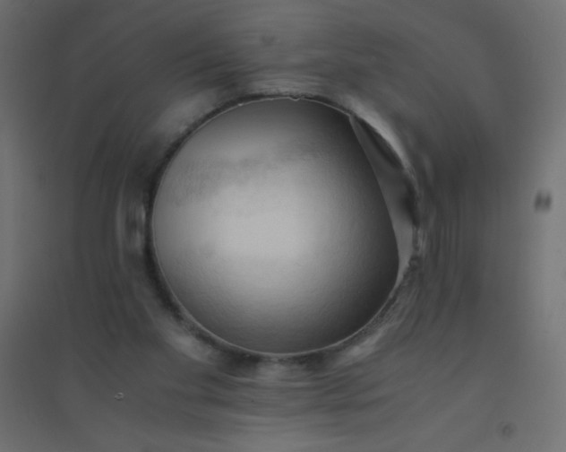 X0000094450109200711211527