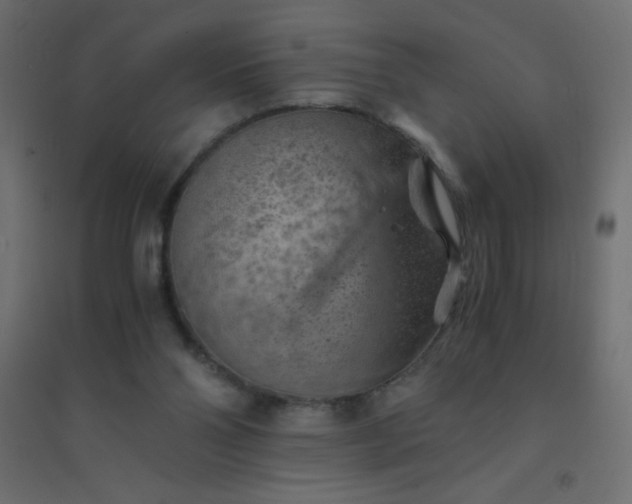 X0000094450110200711211527