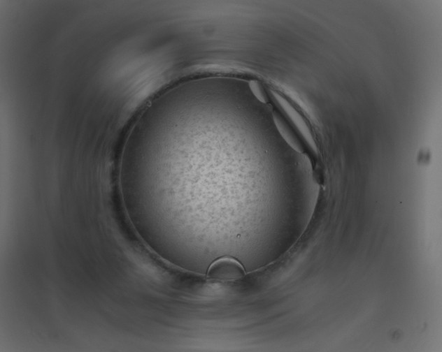 X0000094450111200711211527