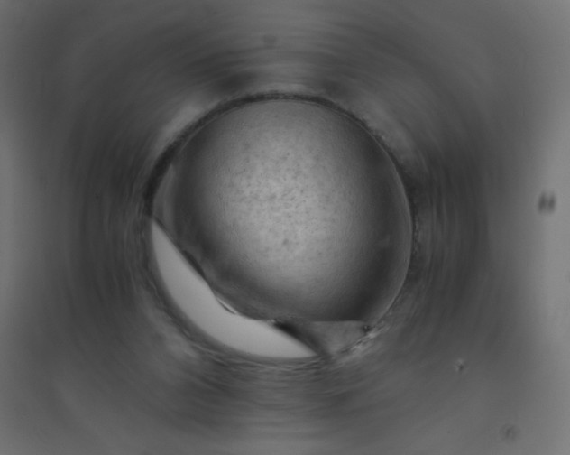 X0000094450112200711211527