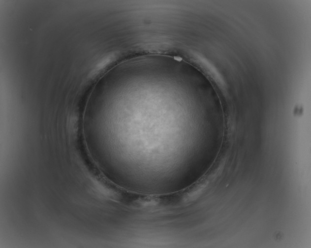 X0000094450113200711211527