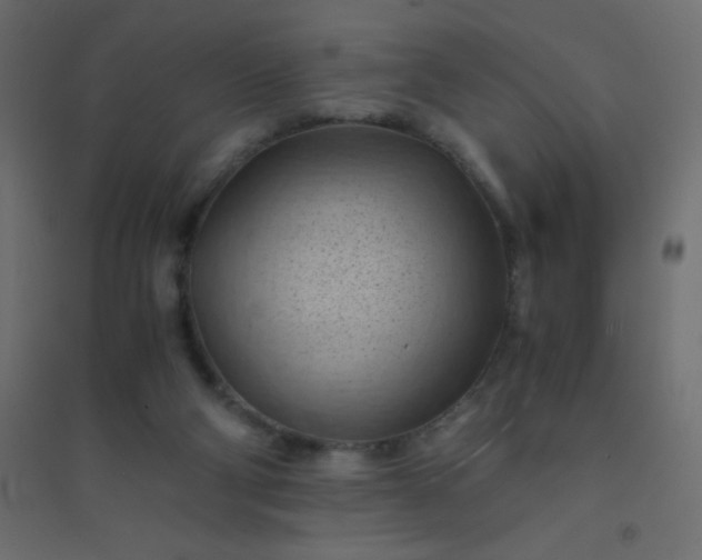 X0000094450114200711211527