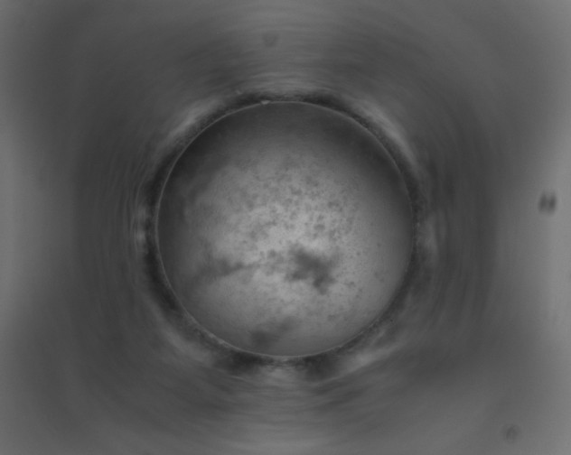 X0000094450115200711211527