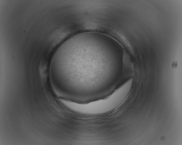 X0000094450116200711211527