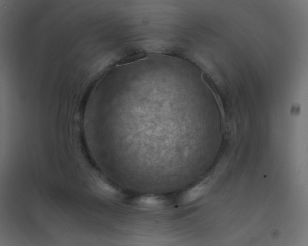 X0000094450117200711211527