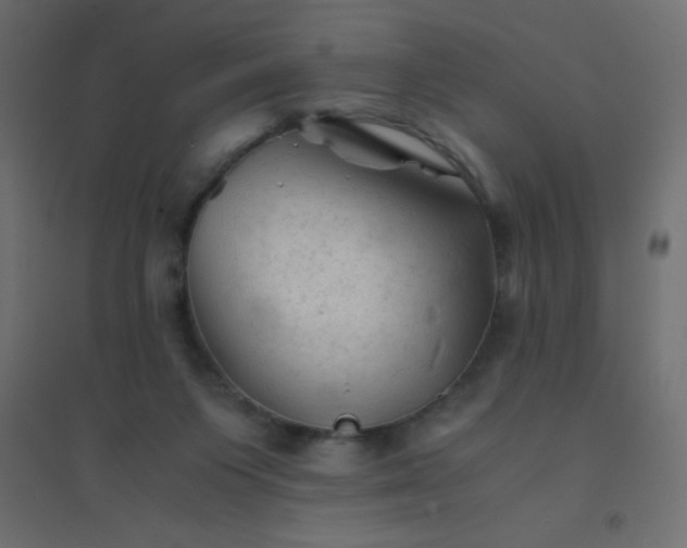 X0000094450119200711211527