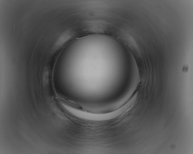 X0000094450120200711211527