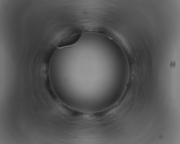 X0000094450121200711211527