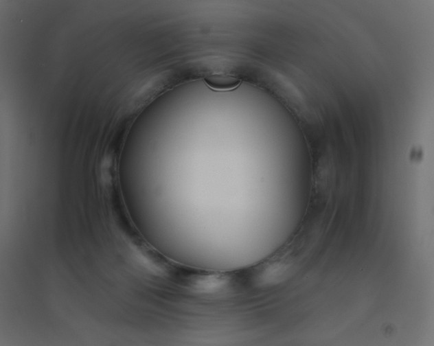 X0000094450122200711211527