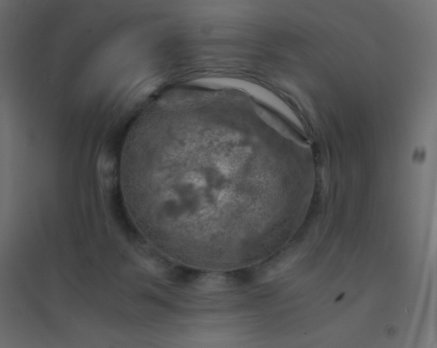 X0000094450123200711211527