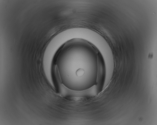 X0000094450124200711211527