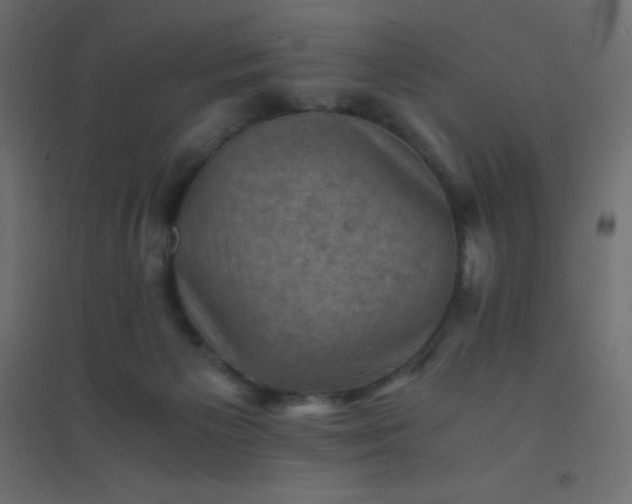 X0000094450125200711211527