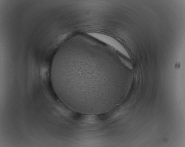 X0000094450127200711211527