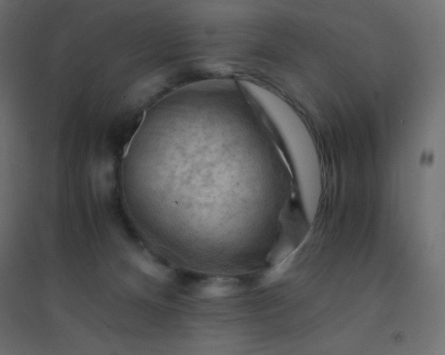 X0000094450128200711211527