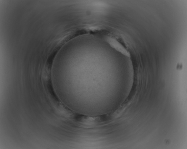 X0000094450129200711211527