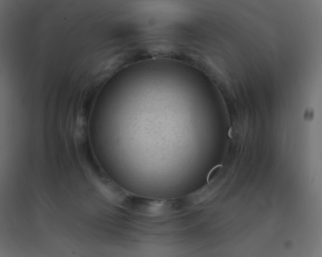 X0000094450130200711211527