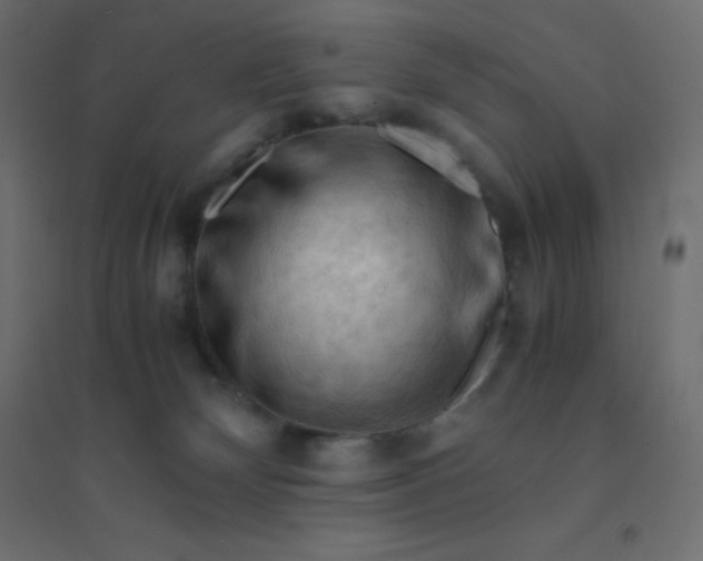 X0000094450132200711211527