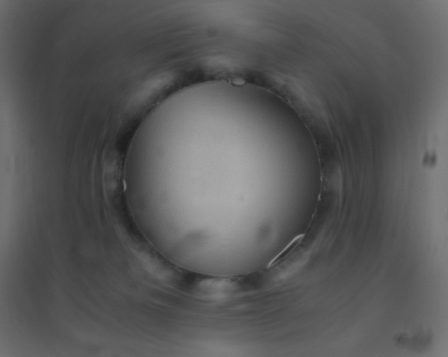 X0000094450133200711211527