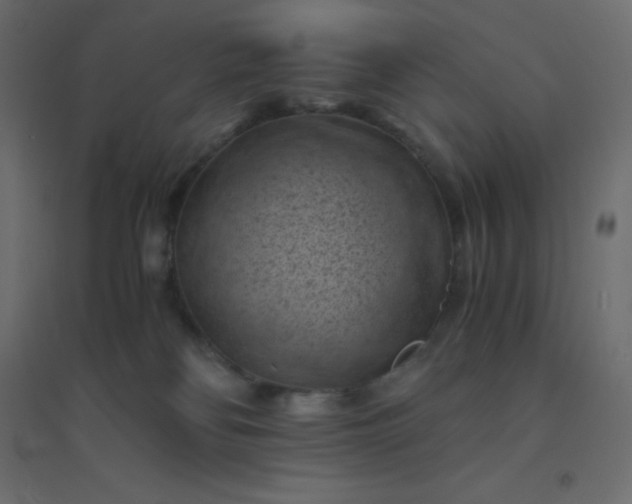 X0000094450134200711211527