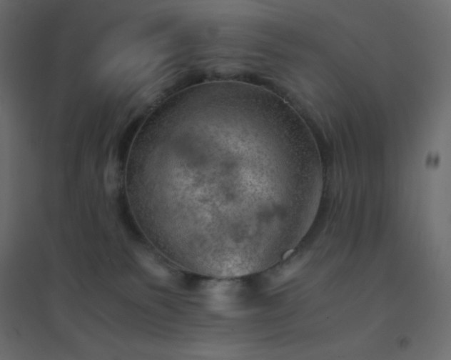 X0000094450135200711211527