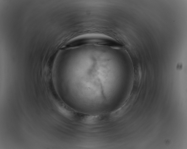 X0000094450136200711211527