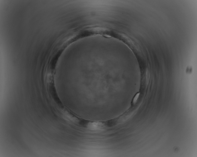 X0000094450137200711211527