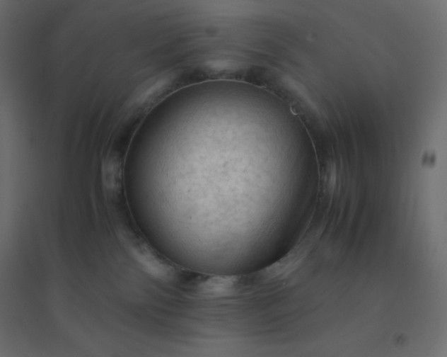 X0000094450138200711211527