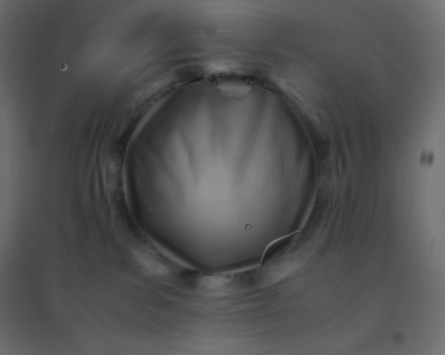 X0000094450139200711211527