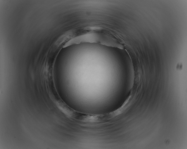 X0000094450140200711211526