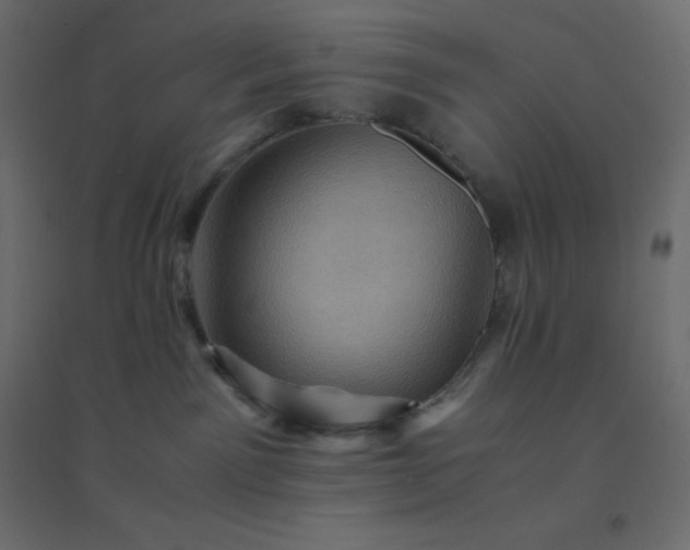 X0000094450141200711211526